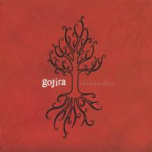 GOJIRA - The Link Alive (Digipak) CD/DVD